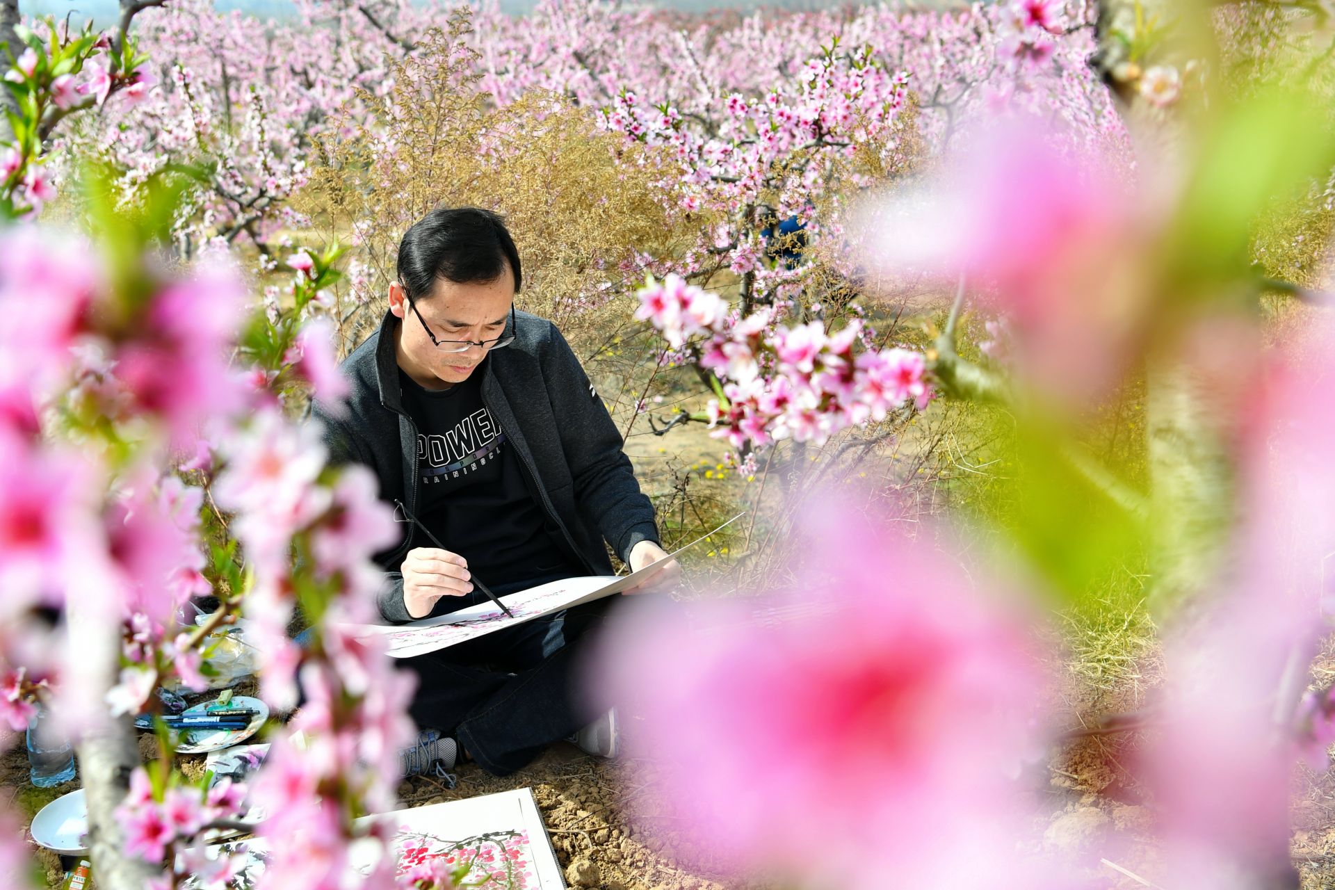 山西运城:桃花岭上桃花开-盐城新闻网