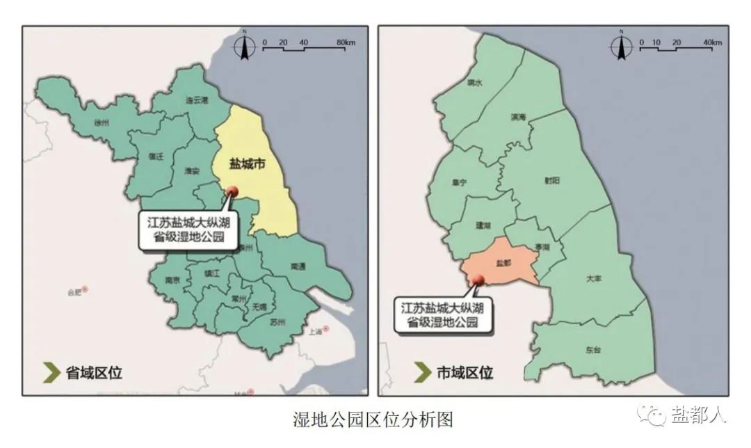 盐城再添一国字号名片这个地方晋升为国家级湿地公园