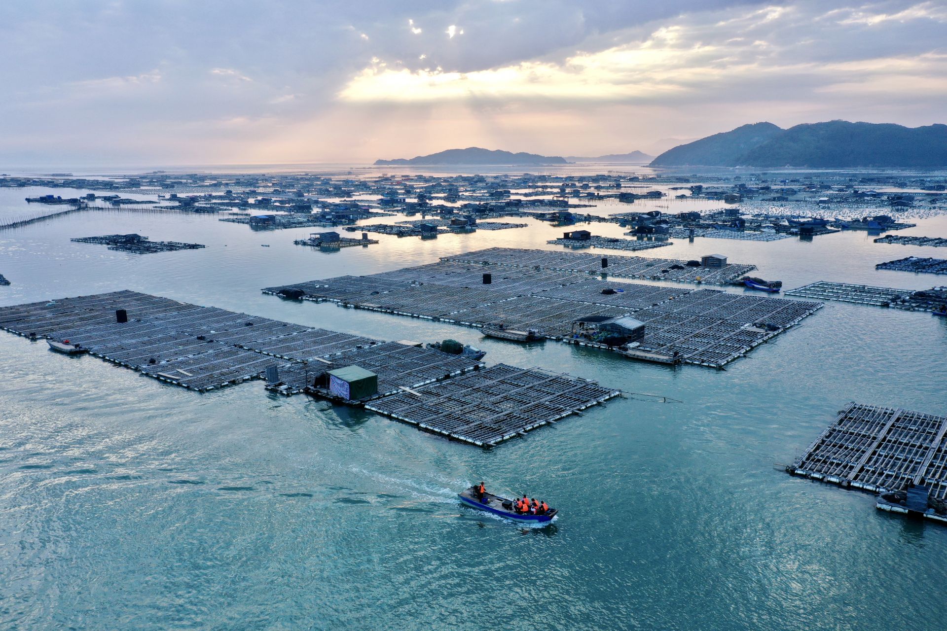 福建东山:光影海上牧场