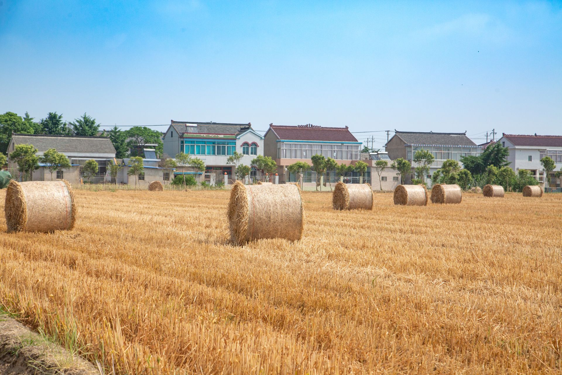 秸秆还田的方法