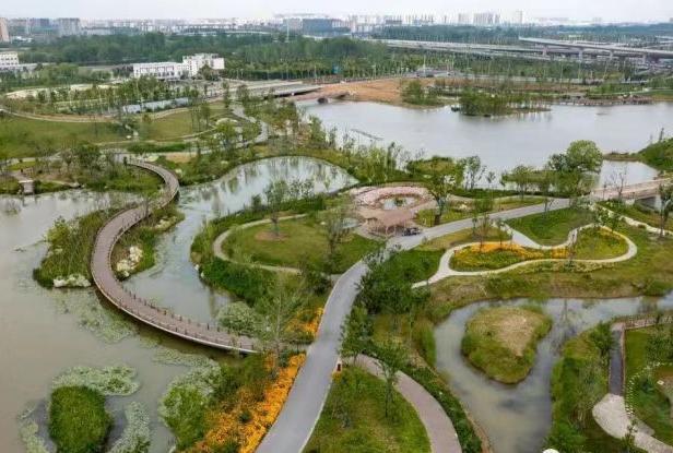 中国黄海湿地博物馆荣获“城市更新建设大奖”-盐城新闻网
