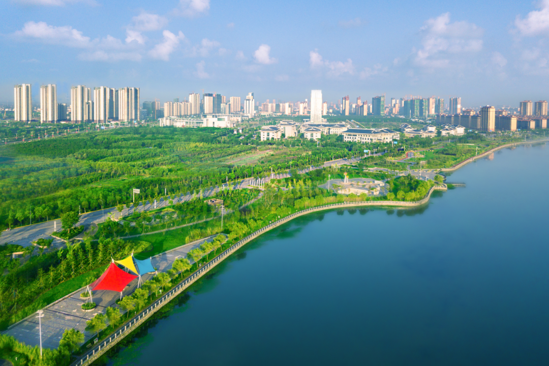 江苏射阳：“媒”眼聚焦春日鹤乡，感受“百年耕耘”的产业传奇盐城新闻网