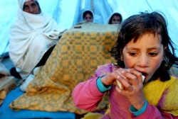 近2000名外國公民經烏茲別克斯坦從阿富汗撤離 150名阿難民被遣送回國