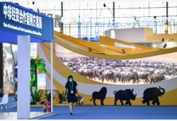 第二屆中國——非洲經貿博覽會在湖南長沙開幕