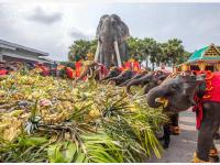 泰國大象日：大象享用自助餐