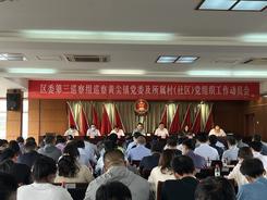 亭湖區委第三巡察組巡察黃尖鎮兩級黨組織