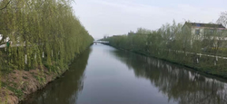 唐洋鎮：河道整治再發力持續改善水環境