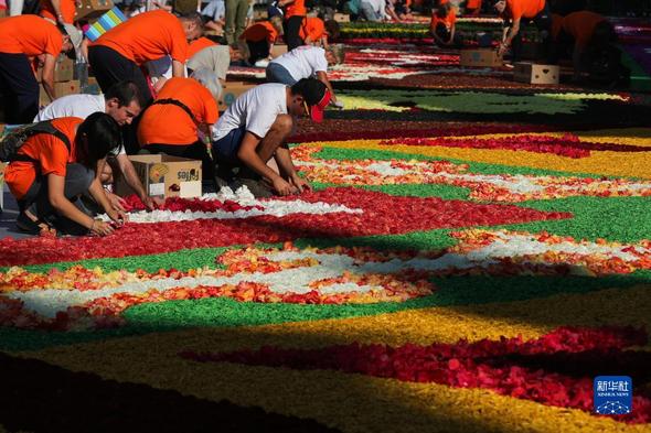 比利時布魯塞爾：鋪裝“鮮花地毯”