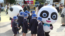 買郵票、掛配飾，日本民眾“過節式”慶祝大熊貓到來50周年