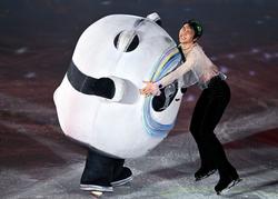 不止“冰墩墩”，這些大熊貓吉祥物你了解嗎？