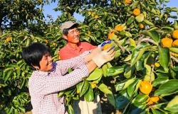 現場新聞:    生態村里話幸福