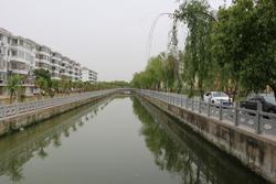 樓王鎮多舉措推進生態河道建設