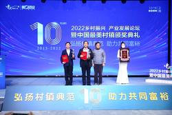 新興鎮榮獲“2022中國最美村鎮”鄉村振興榜樣獎