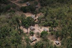 巴西新总统签署保护亚马孙地区等环保法令