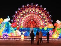 新华全媒+丨流光溢彩庆元旦 迎春灯会引客来
