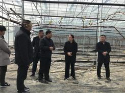 建陽鎮人大：強化監督建議 助力鄉村振興