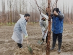 同种组工林 植绿助振兴 ——市委组织部开展义务植树活动