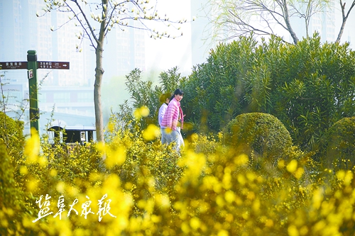 人间三月芳菲始盐城处处春意浓