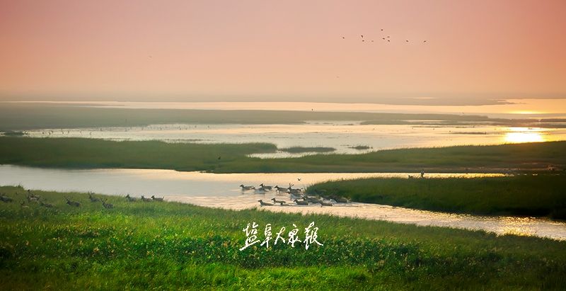 推动高质量发展走在苏北苏中前列盐城深耕两海厚植两绿