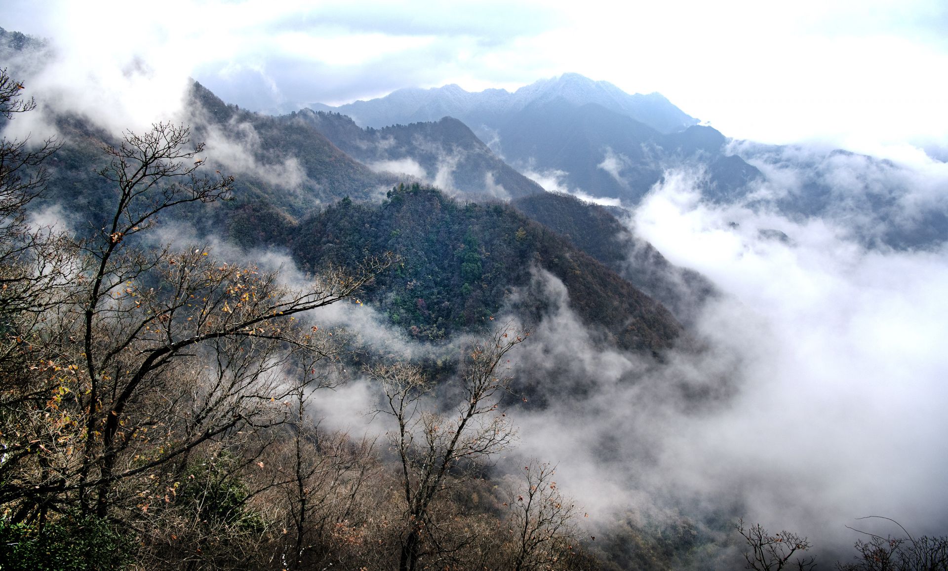 陕南鬼谷岭秦岭深处的云雾仙境