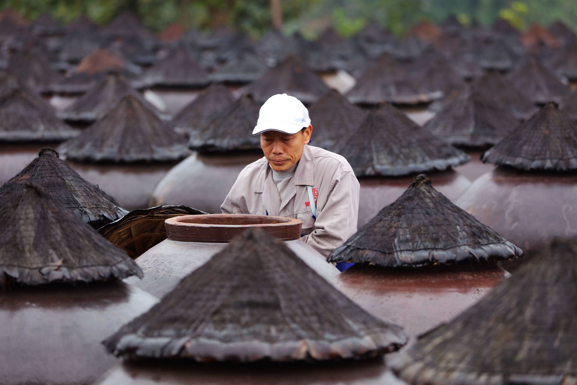 "赤水晒醋"酿制忙