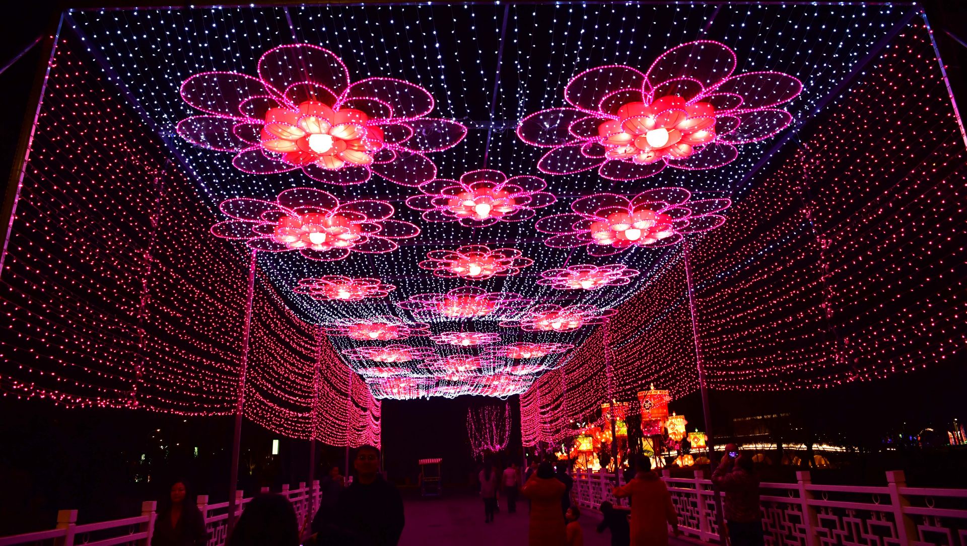 郑州:灯光璀璨园博园