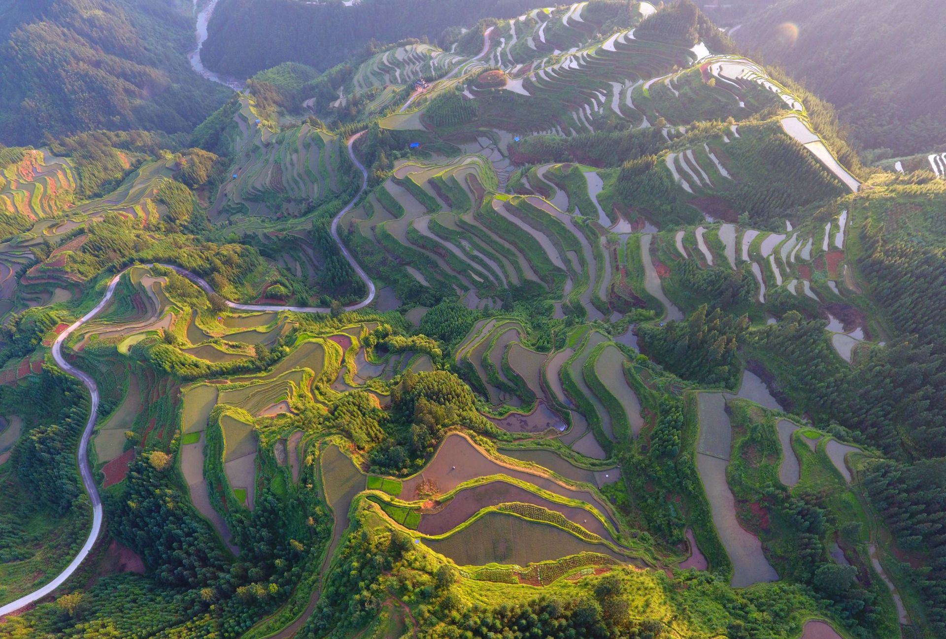 广西融水:夏日梯田
