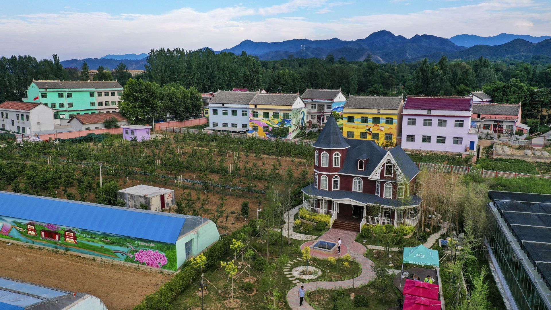 陕西洛南:铺满鲜花的玫瑰小镇