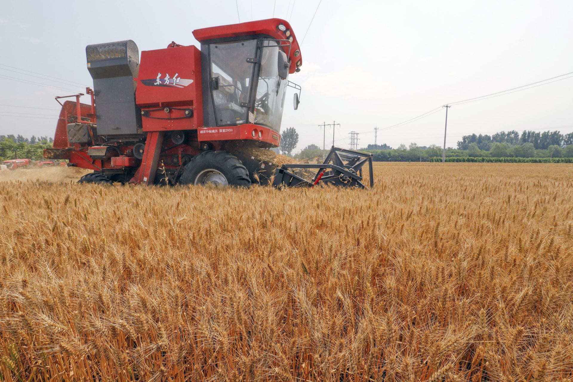 全国小麦机收率96%创新高