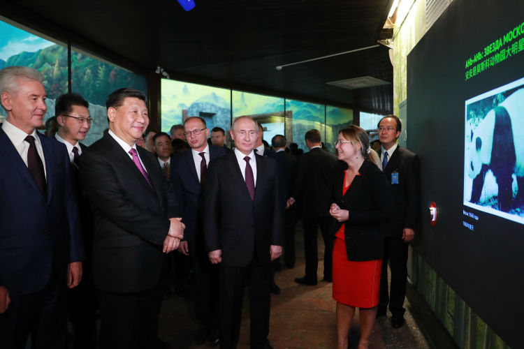 6月5日，国家主席习近平在莫斯科克里姆林宫同俄罗斯总统普京会谈。这是会谈后，两国元首共同出席莫斯科动物园熊猫馆开馆仪式。新华社记者丁林摄