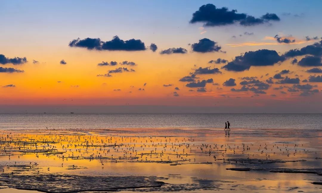 黄渤海候鸟栖息地中国首个湿地遗产的价值