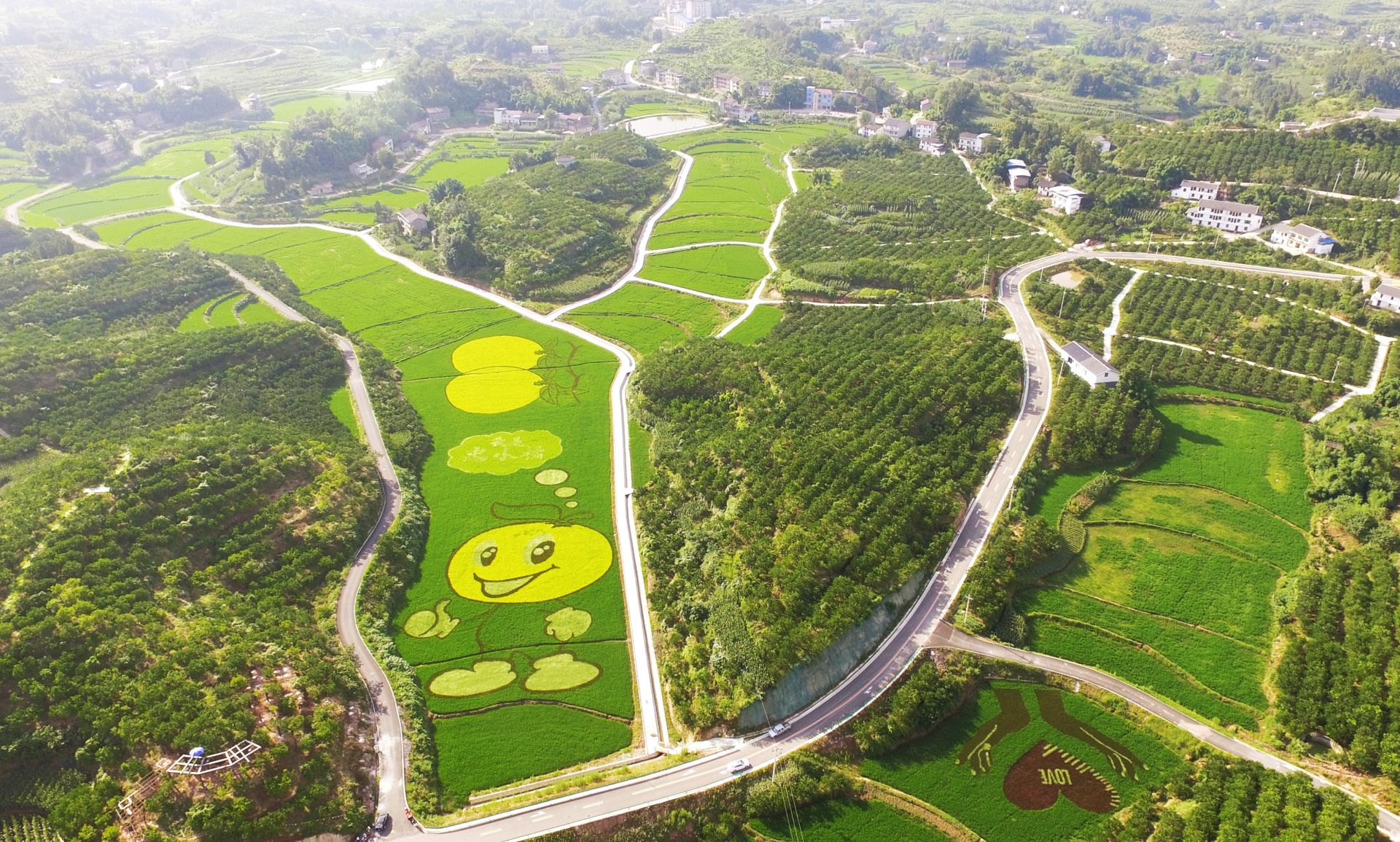重庆忠县:彩色稻田扮靓美丽乡村