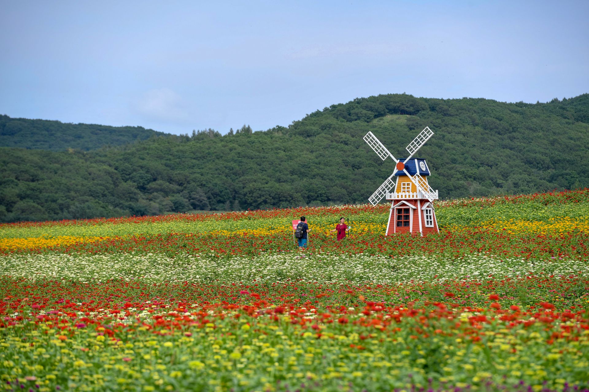 吉林长春"畅游"花海