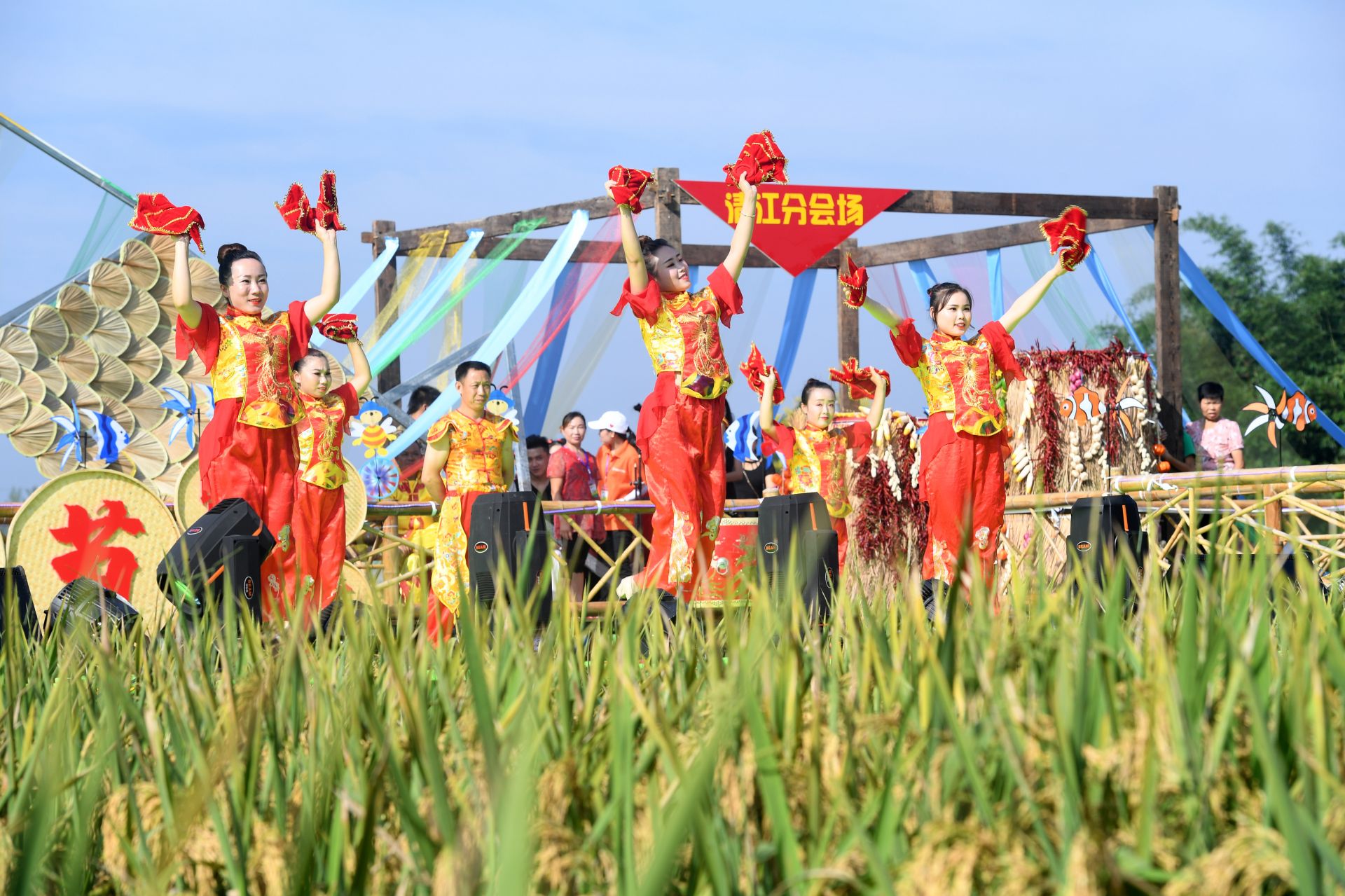 稻田里过丰收节