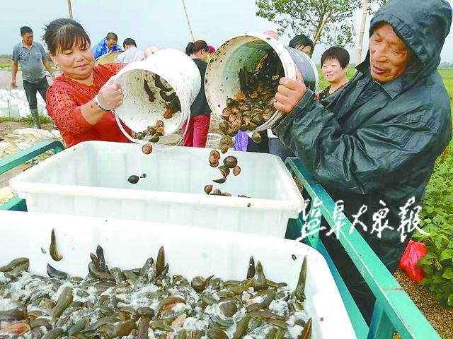 看央视《致富经》，小伙说干就干 两个月养殖蚂蟥纯赚18万元