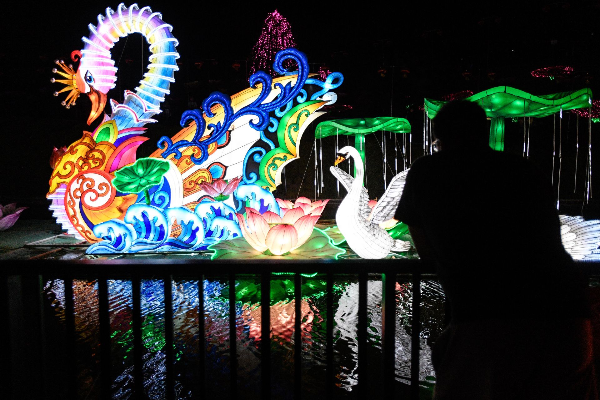 自贡彩灯营造圣地亚哥魅力中国夜