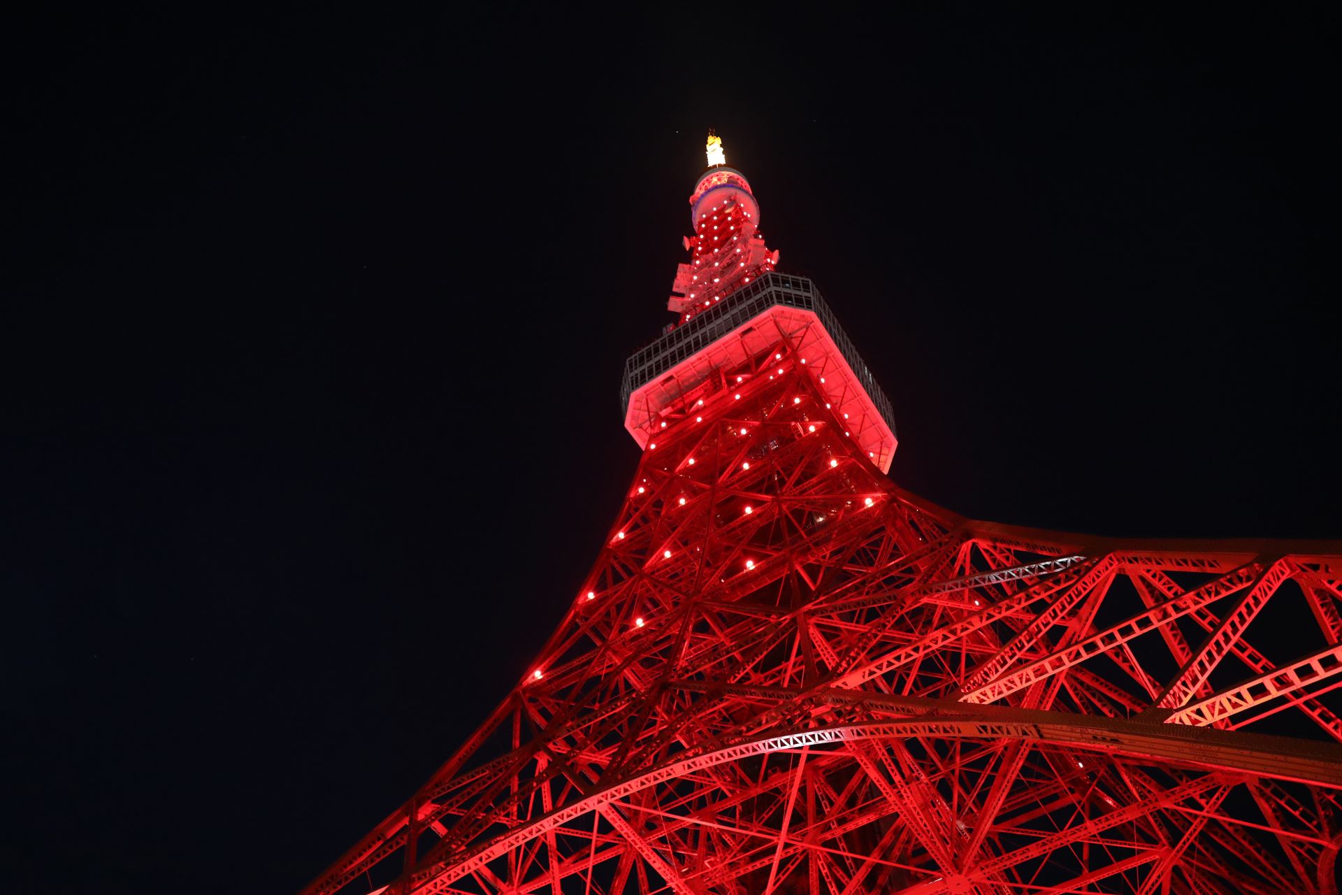 东京塔点亮"中国红"为中国抗击疫情加油