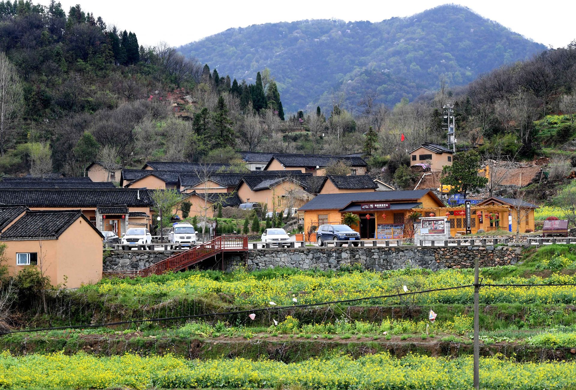 大别山区——那一抹亮色