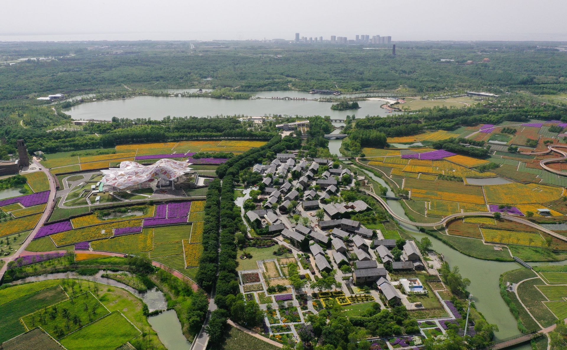 江苏宿迁:衲田花海 五彩大地