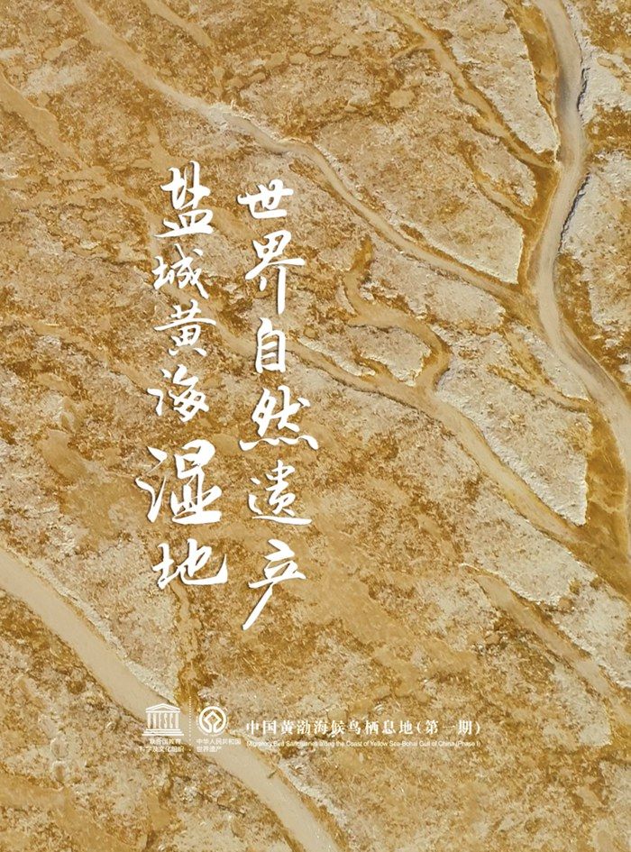 盐城黄海湿地 世界自然遗产日