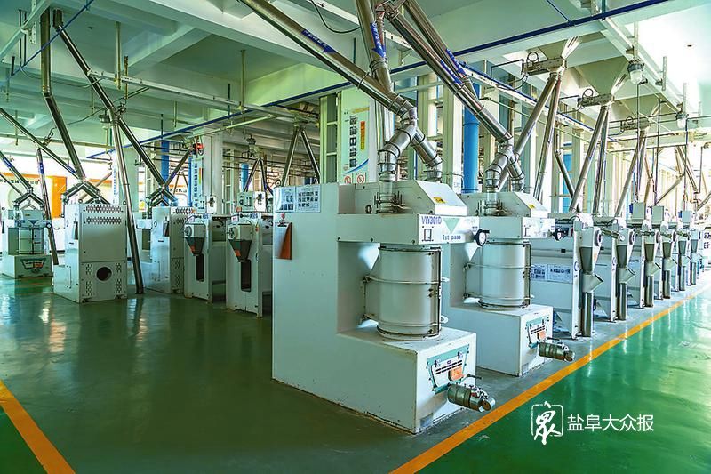 粮食加工推进品牌强农.