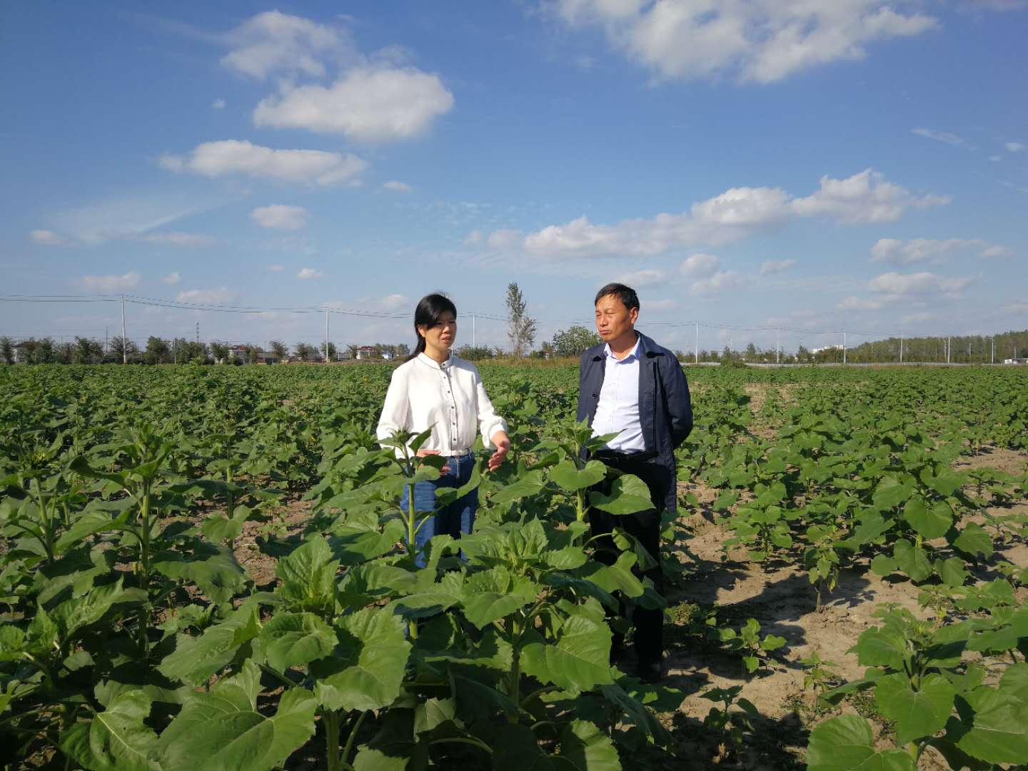 施庆华热心美丽乡村建设的农科人