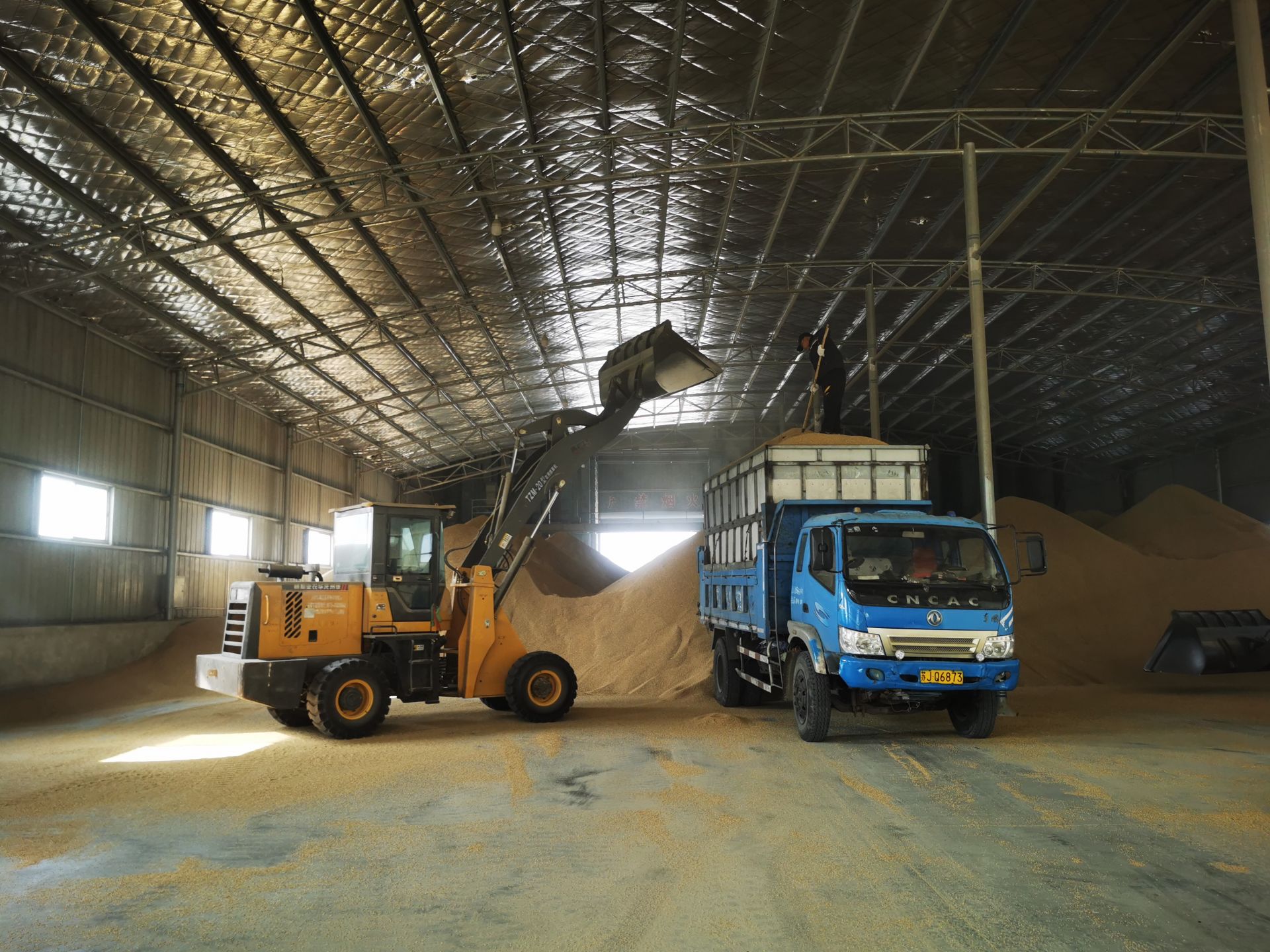 在贺家驿村的盐城市旭晟粮食收购有限公司仓库内,运输水稻的车一辆接