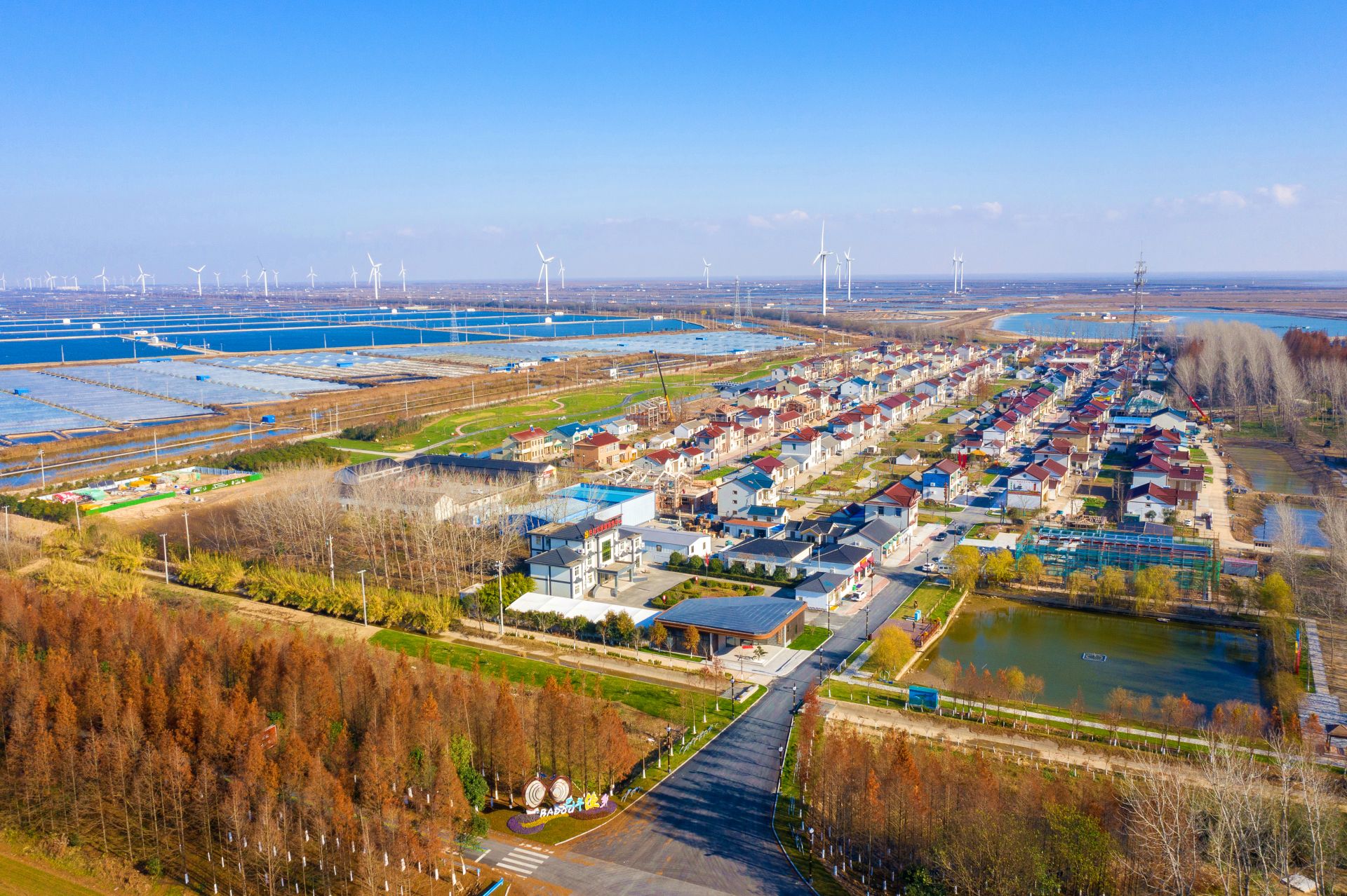 渔民变导游渔村变景点破解东台市巴斗村蝶变奥秘