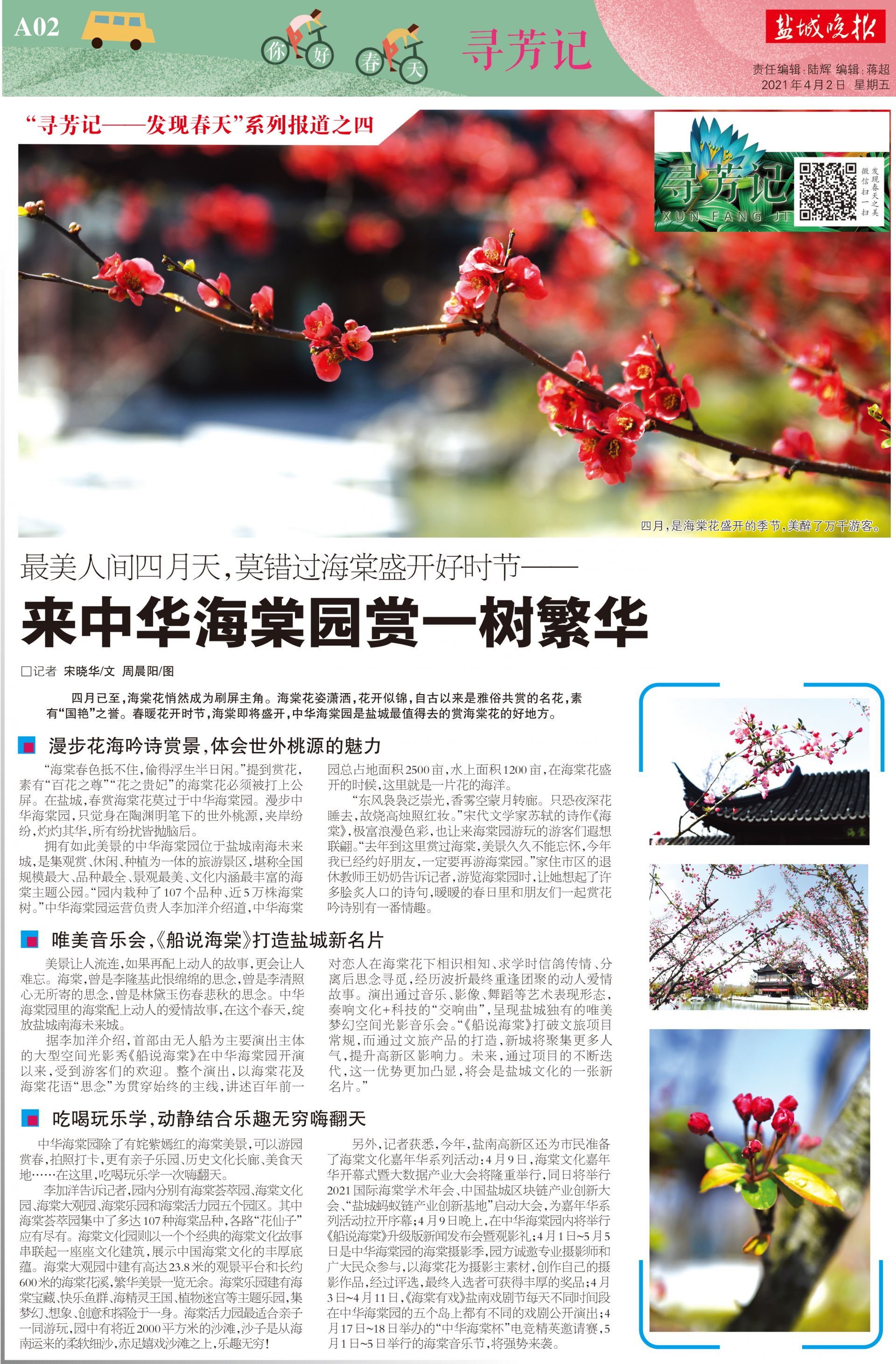 寻芳记四来中华海棠园赏一树繁华