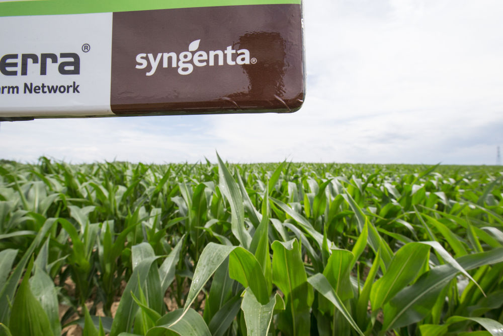 中国市场推动先正达集团业务高速增长