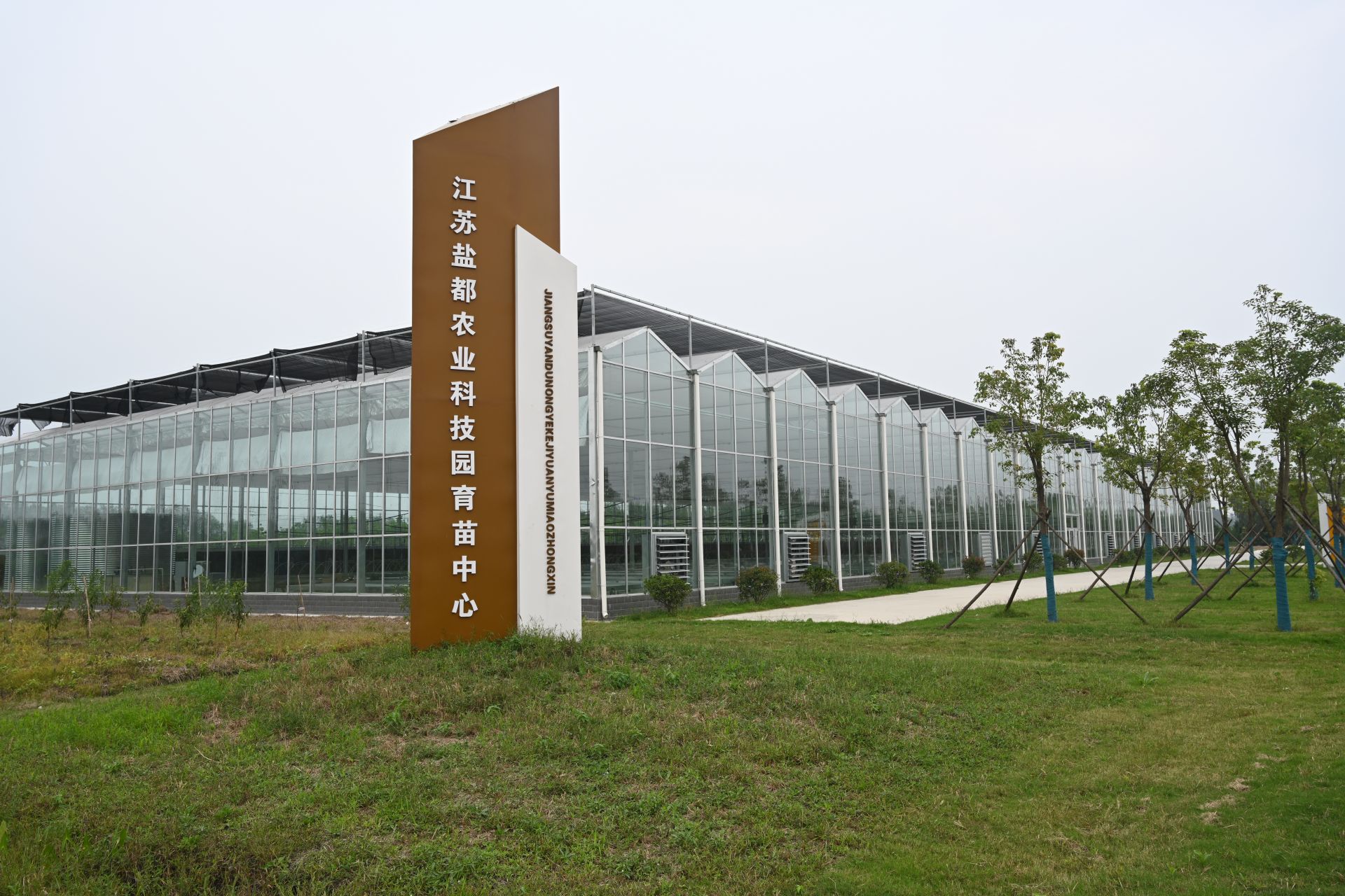 大冈镇科技兴农助推特色桃果产业发展