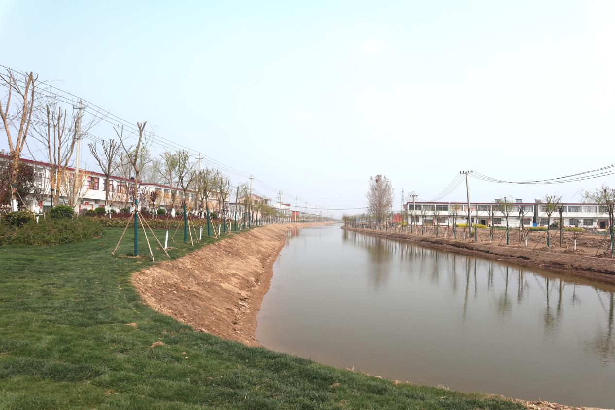 江苏响水陈家港镇清水绕村景美人欢