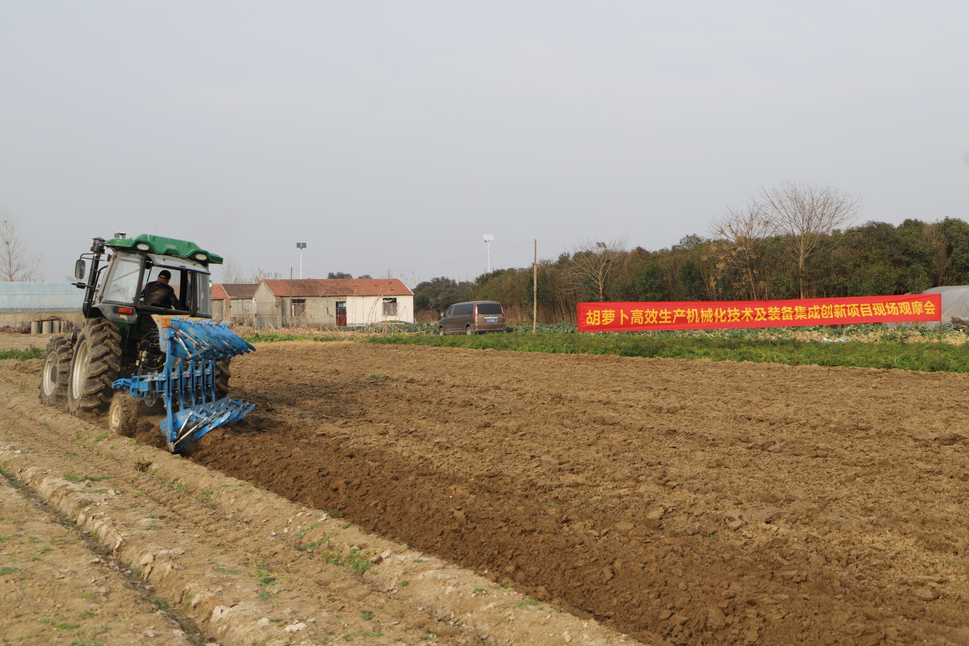 三仓镇胡萝卜成了省级技术示范推广项目