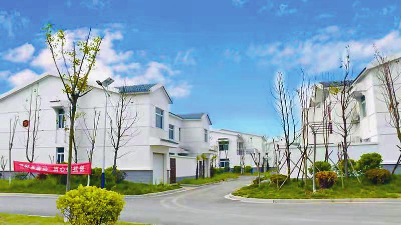 "1月25日,室外寒风凛冽,响水县小尖镇小广村大马士革玫瑰花种植基地内